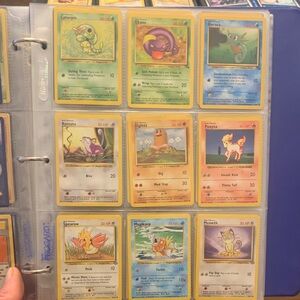 Pokemon Card Collection - Green, Purple, Blue, Yellow, Brown